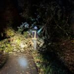 Einsatz 10/2025 – THL – Baum über Fahrbahn